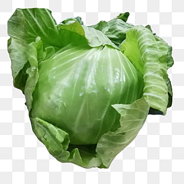 الصنف