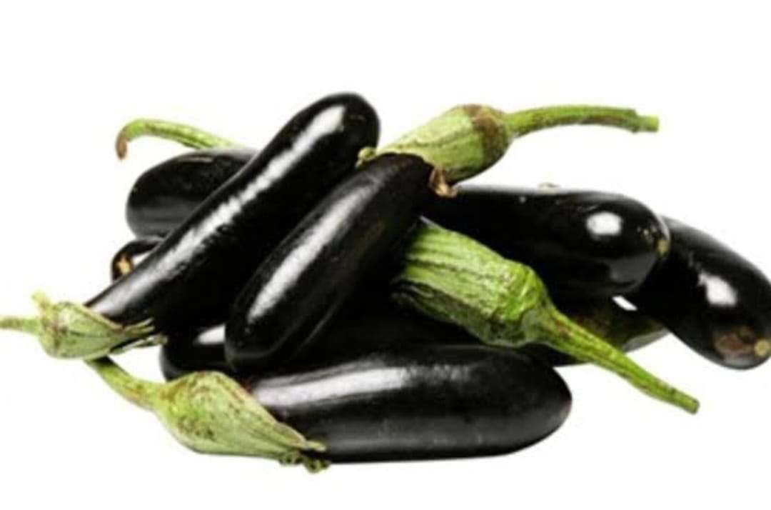 الصنف