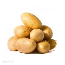 الصنف