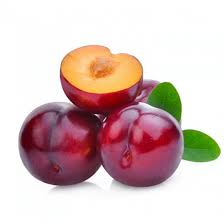 الصنف
