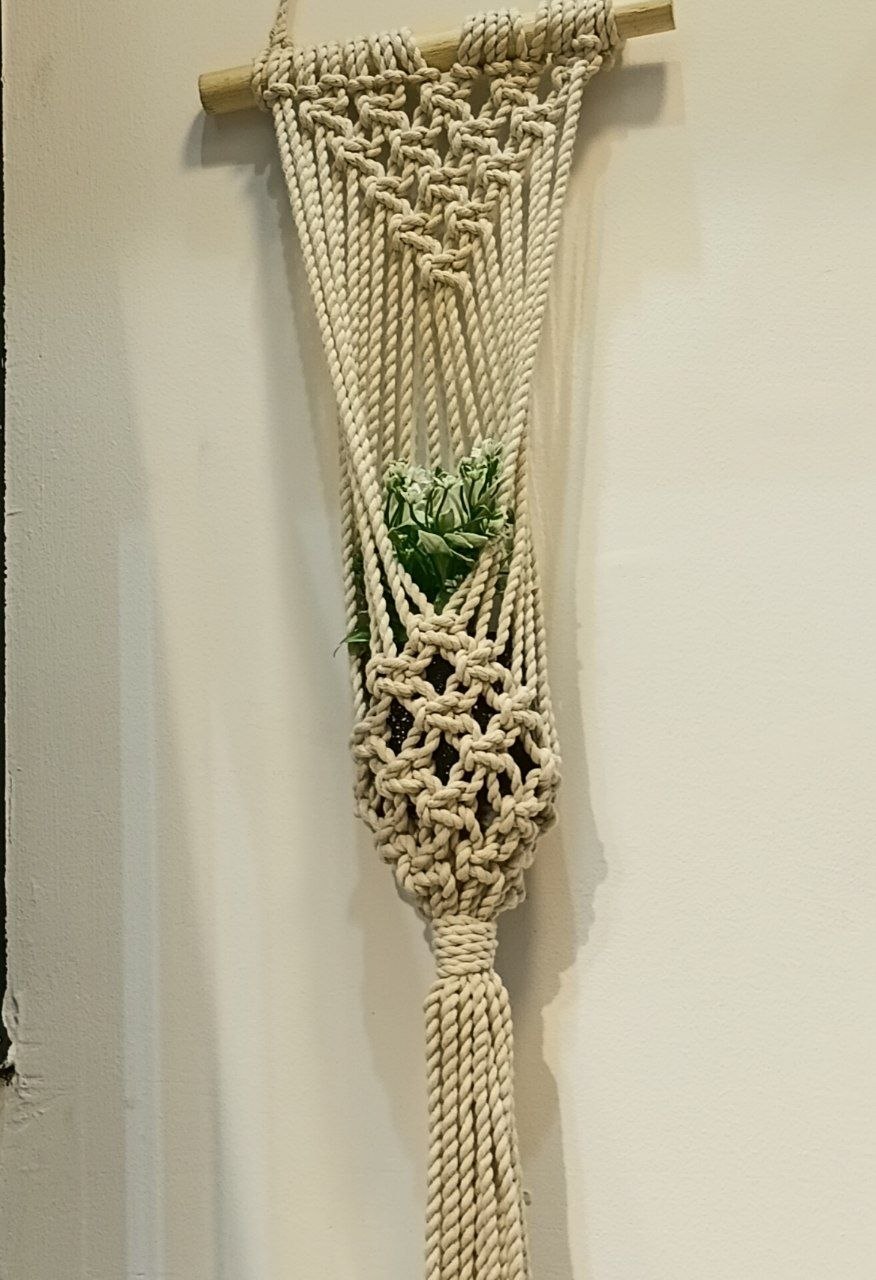 الصنف