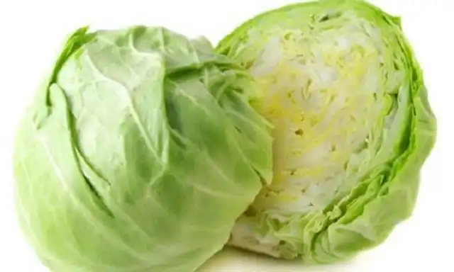 الصنف