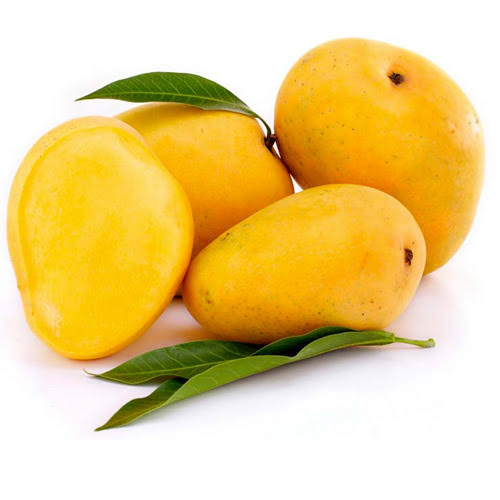الصنف
