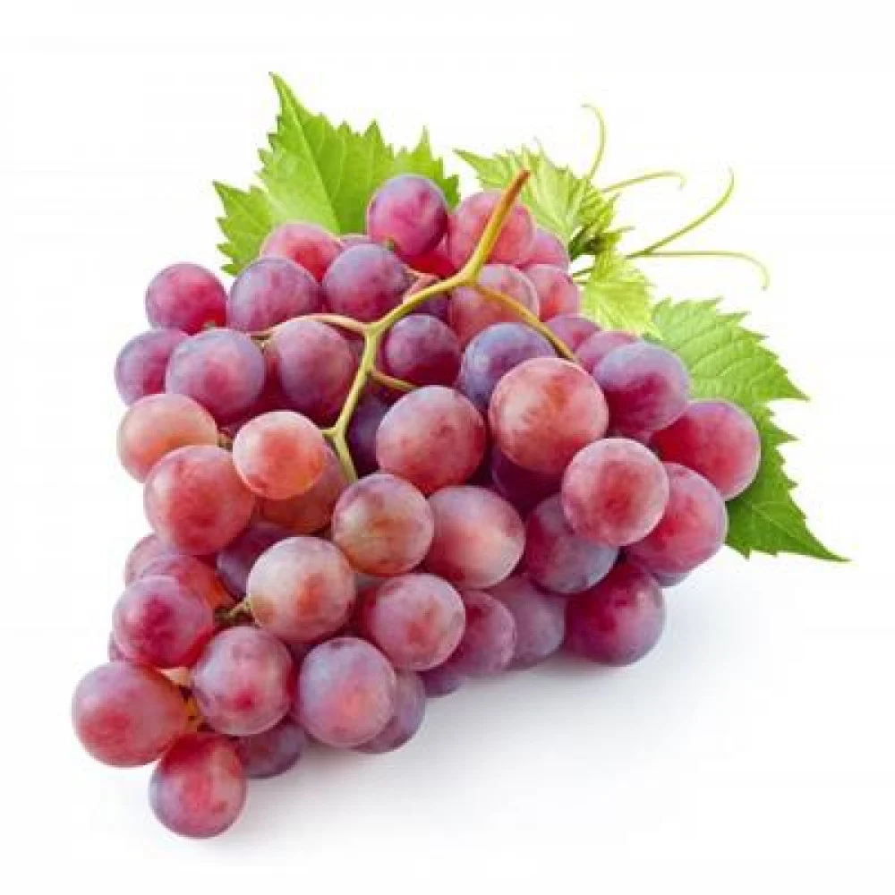 الصنف