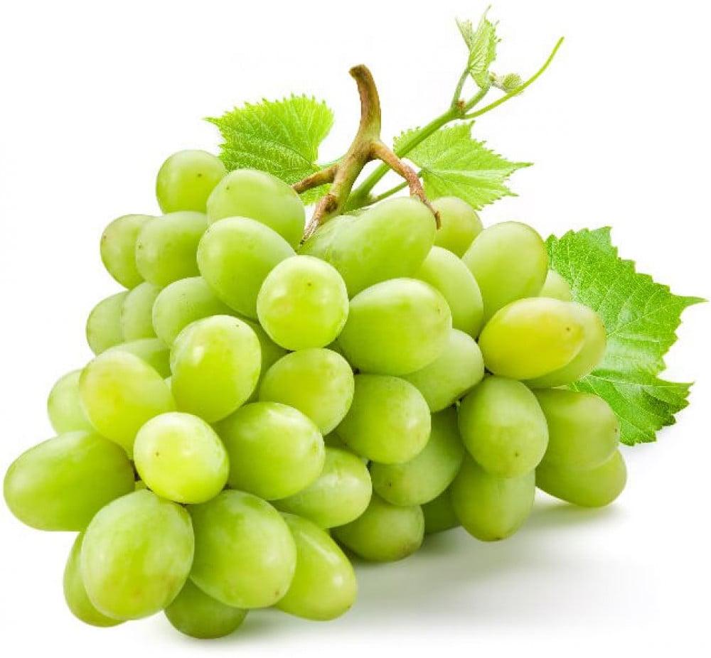 الصنف