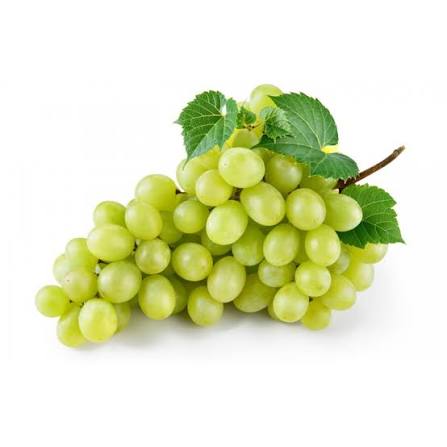 الصنف